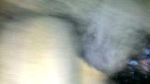 1254