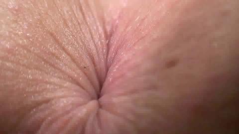 31336