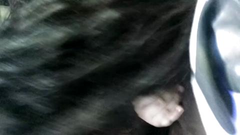 47818