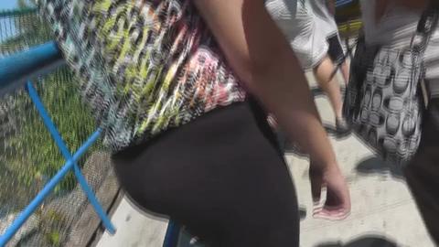 24217
