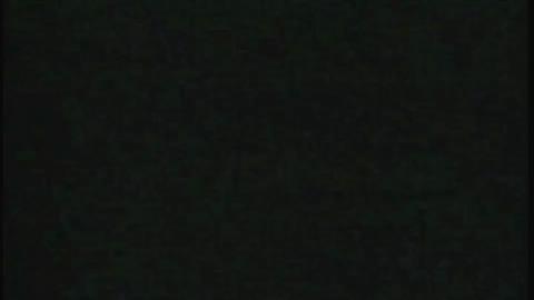 19956